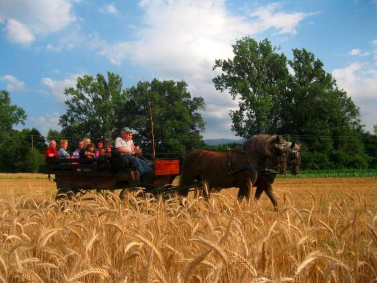 Ferienwohnungen Maierhof Oberried Oberried  Eksteriør billede