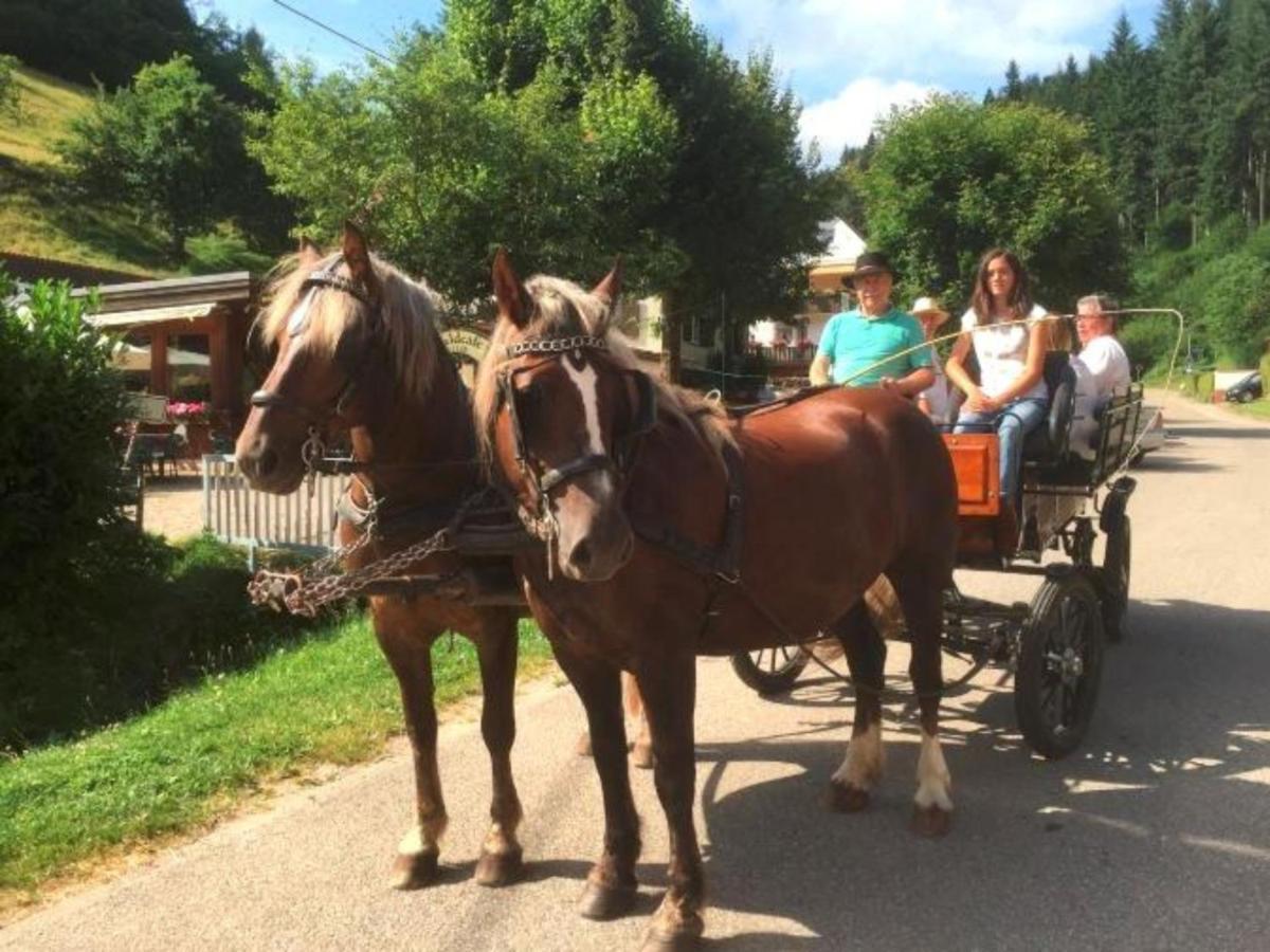 Ferienwohnungen Maierhof Oberried Oberried  Eksteriør billede