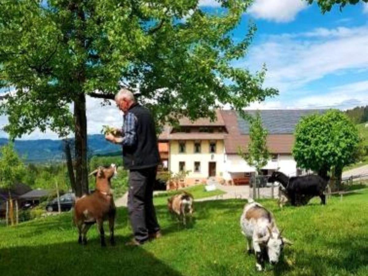Ferienwohnungen Maierhof Oberried Oberried  Eksteriør billede