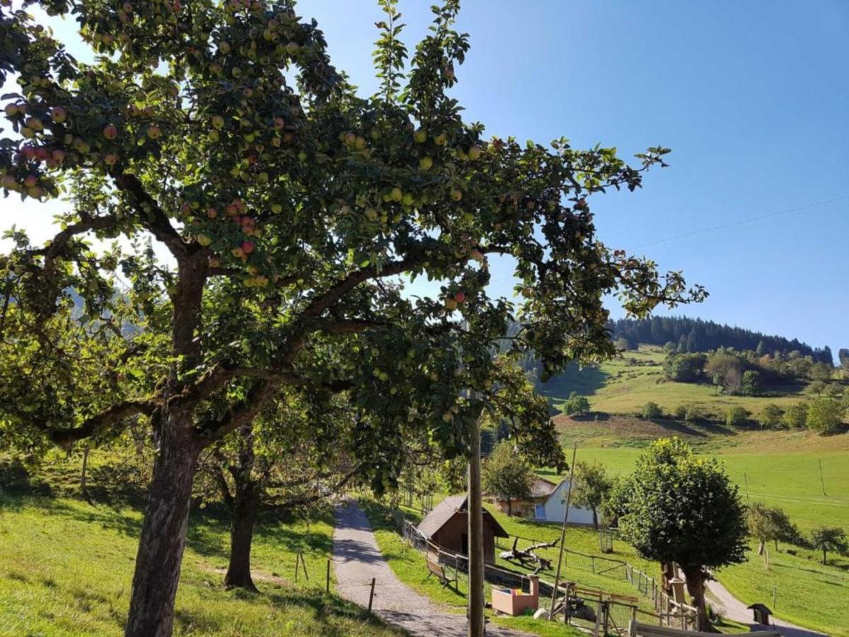 Ferienwohnungen Maierhof Oberried Oberried  Eksteriør billede