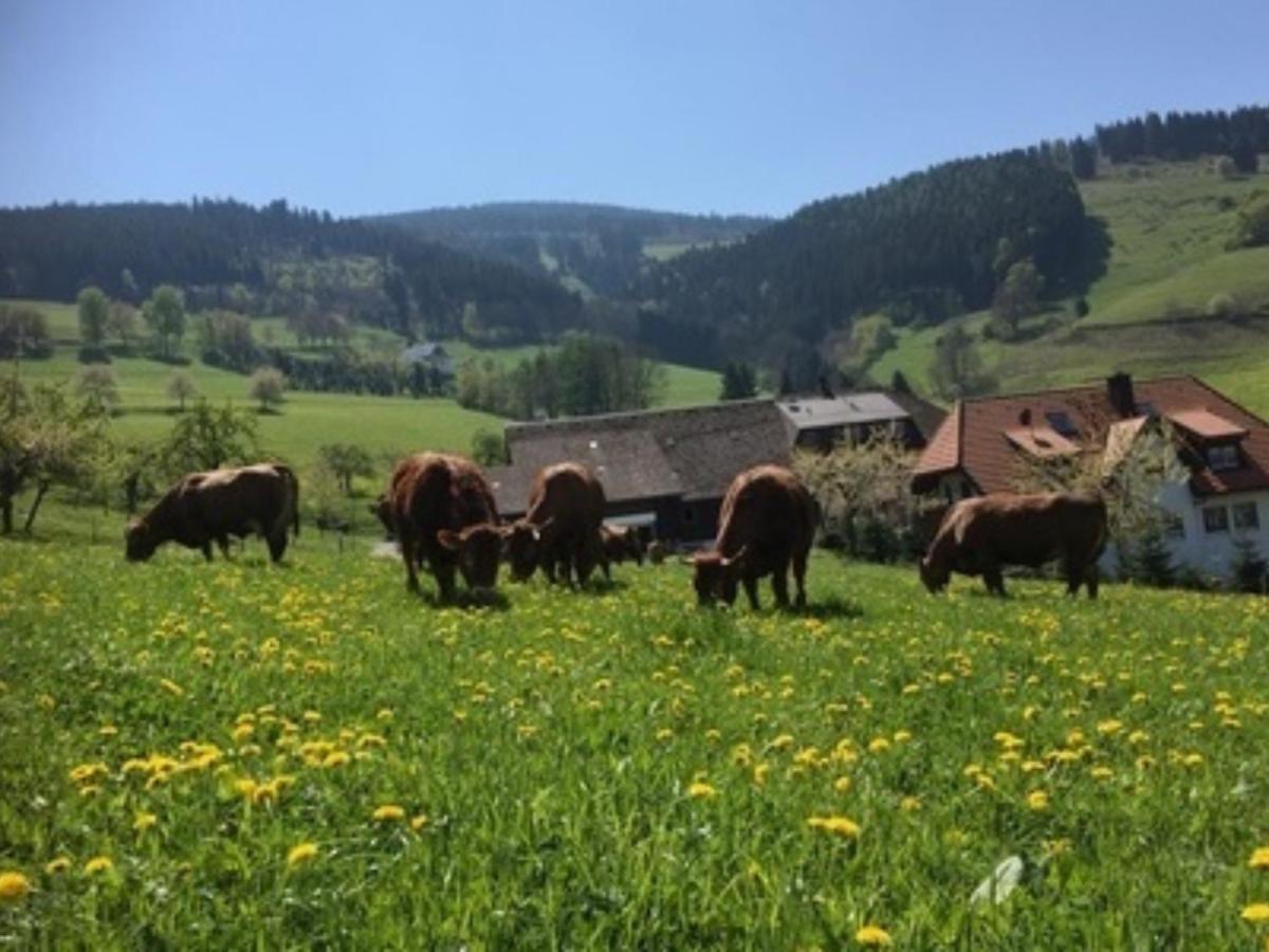 Ferienwohnungen Maierhof Oberried Oberried  Eksteriør billede